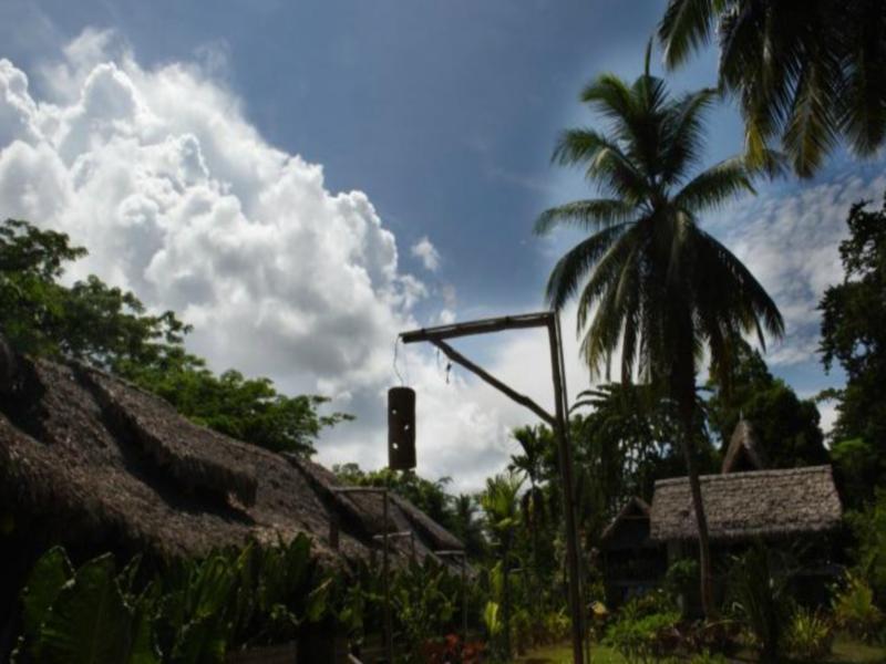 Wild Orchid Resort - Havelock Island Vijay Nagar Beach Extérieur photo