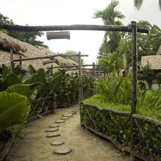 Wild Orchid Resort - Havelock Island Vijay Nagar Beach Extérieur photo